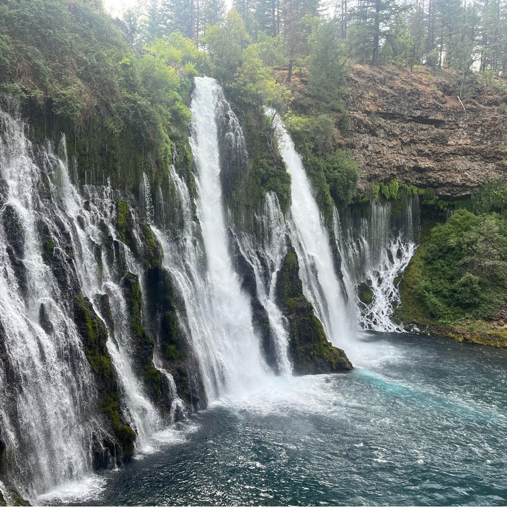 Meet your Posher, Mennaaa